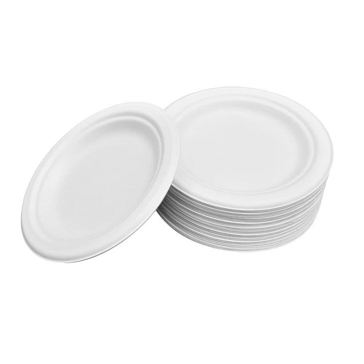 Disposable Bagasse Plates