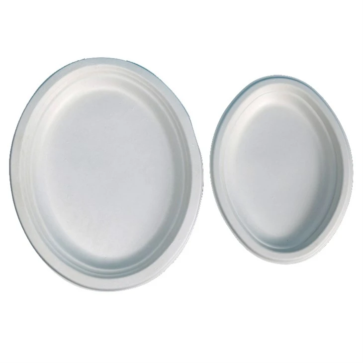 Disposable Sugarcane Bagasse Plates