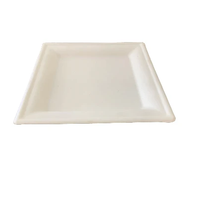 tray tray