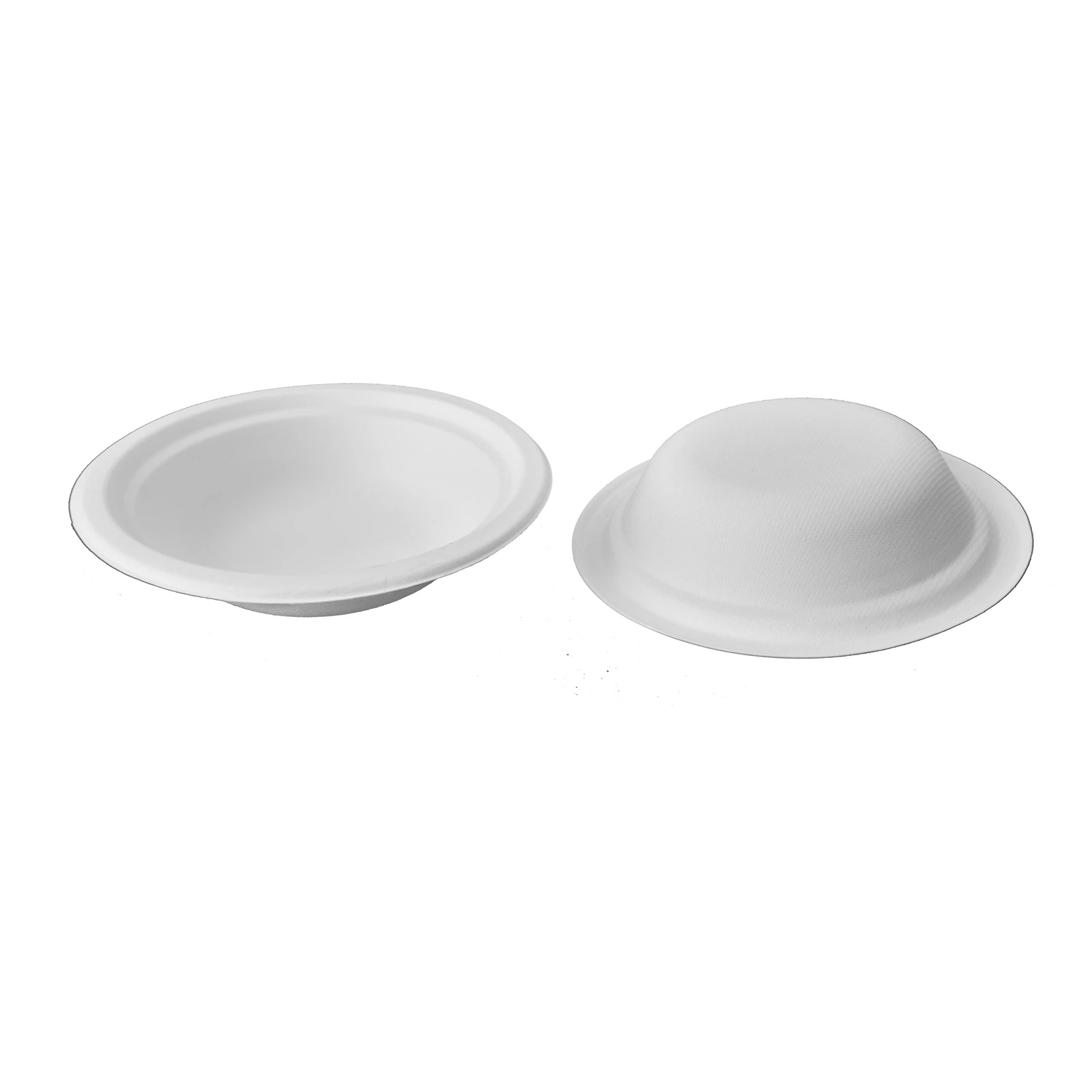 disposable bowl