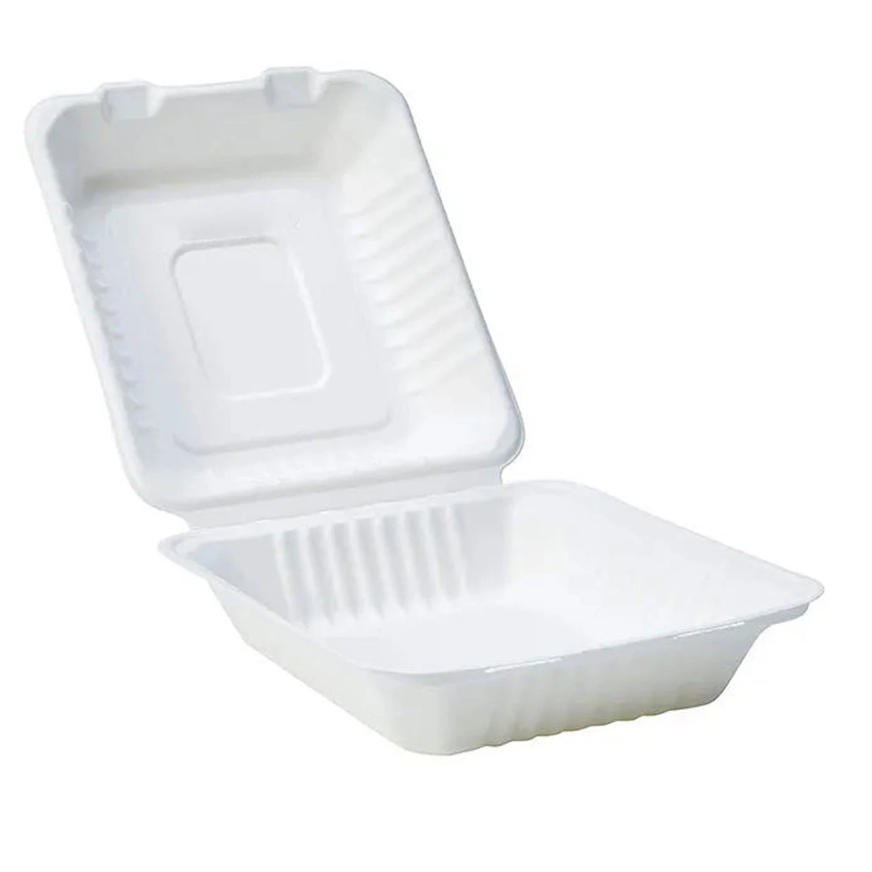 disposable container 