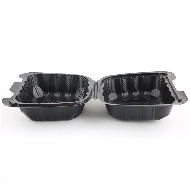 Small Biodegradable Container