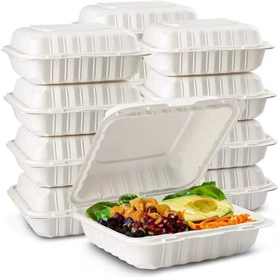 Environmentally Friendly Takeout Container