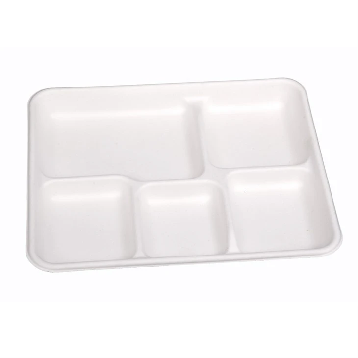 Square Sugarcane Plates