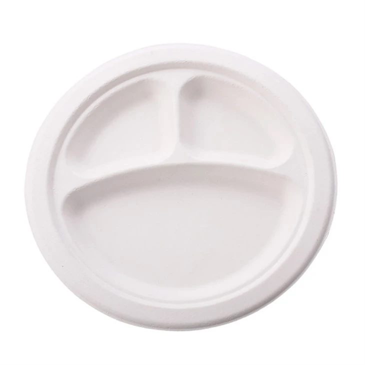 Sugarcane Compostable Plates