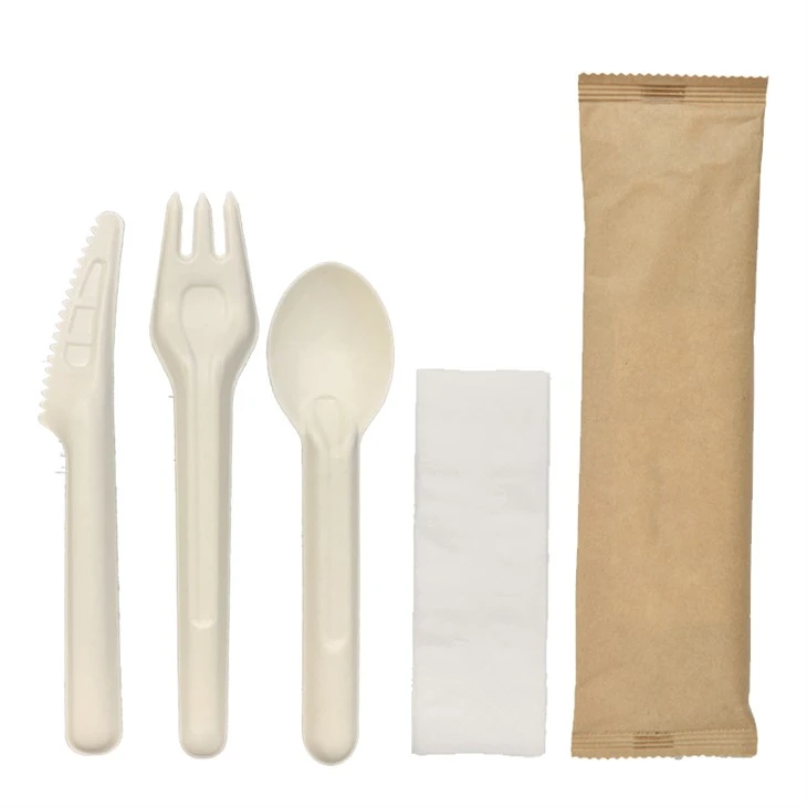 Sugarcane Spoon Fork Knife