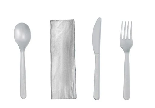 Disposable Small Biodegradable Spoon
