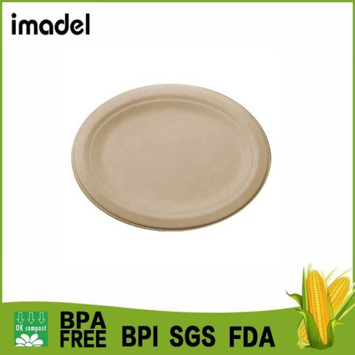 Sugarcane Plate Compostable Plates