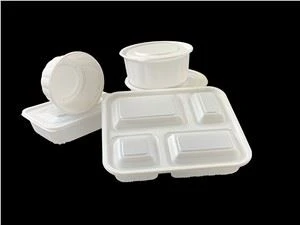 PLA Transparent Food Container