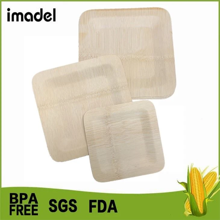 Bamboo Picnic Plates
