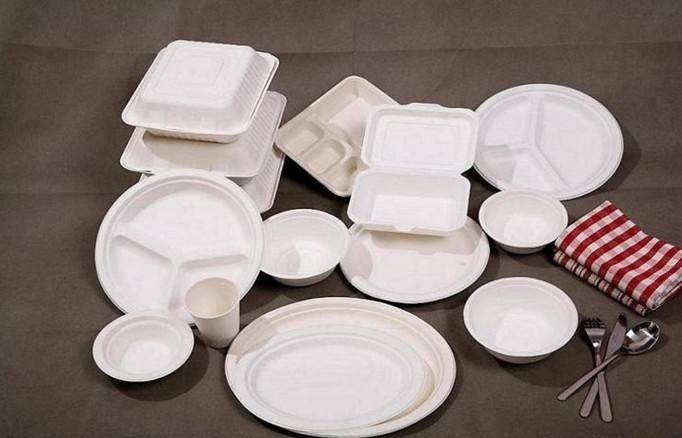 Biodegradable Tableware Market