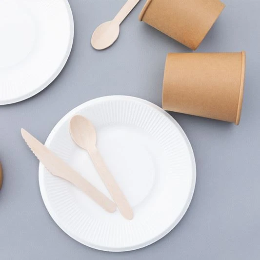 How To Identify The Authenticity Of Environmental Protection Tableware