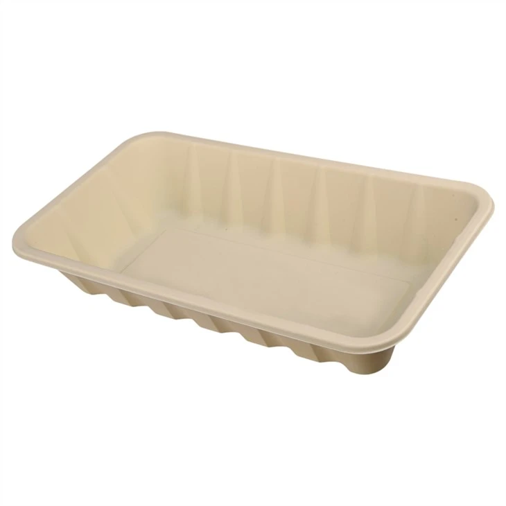Biodegradable Corn Starch Lunch Box
