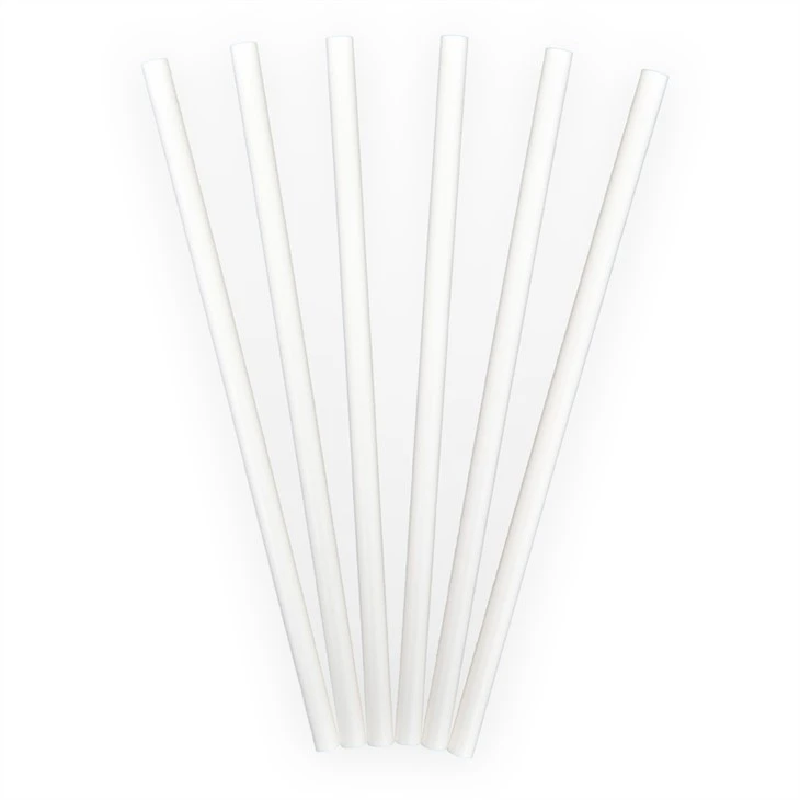 Compostable PLA Straw