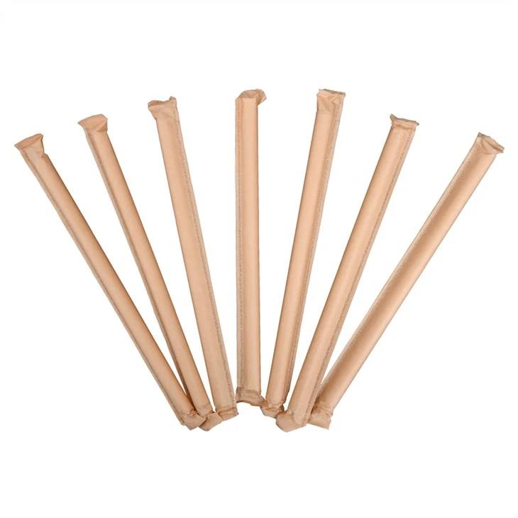 Compostable PLA Straw
